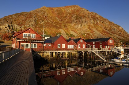 Norvège, Nordland, Iles Lofoten, port de pêche de Ballstad dans l'île de Vestvagoy