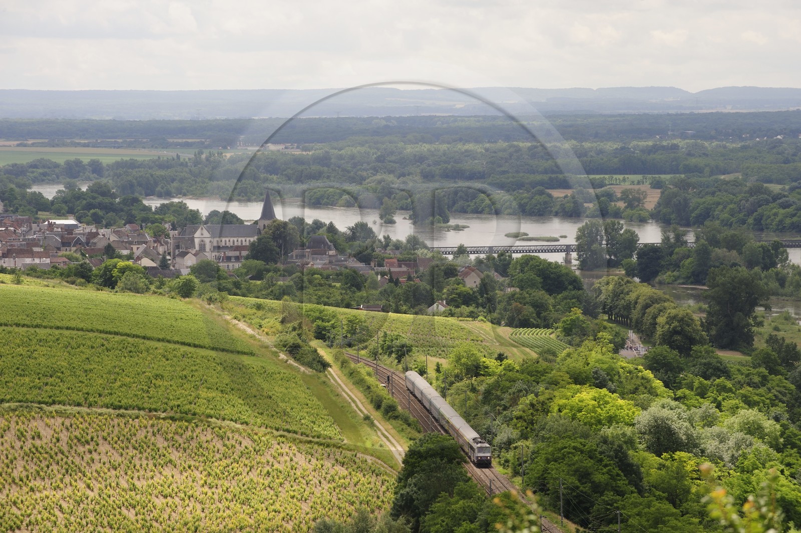 France, Nièvre (58), la Loire vers Pouilly-sur-Loire, train régional