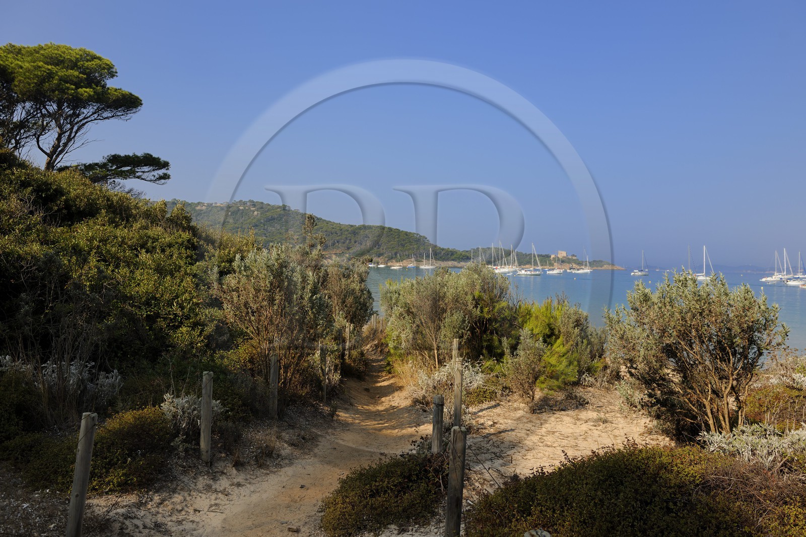 France, Var (83), Iles d'Hyères, parc national de Port-Cros, île de Porquerolles,