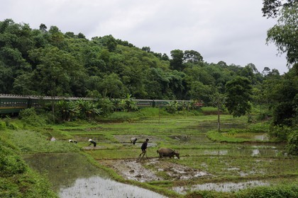 Vietnam, train de jour de Lao Cai à Hanoï