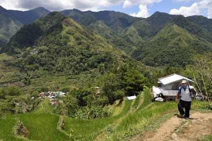 Philippines, province d'Ifugao, les rizières en terrasses de Banaue, classées Patrimoine Mondial de l'UNESCO, alimentées par un ancien système d'irrigation depuis la forêt tropicale au-dessus des terrasses et le village de Cambulo