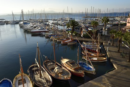 France, Var, Sanary-sur-Mer, traditional fishing boats called pointus in the port