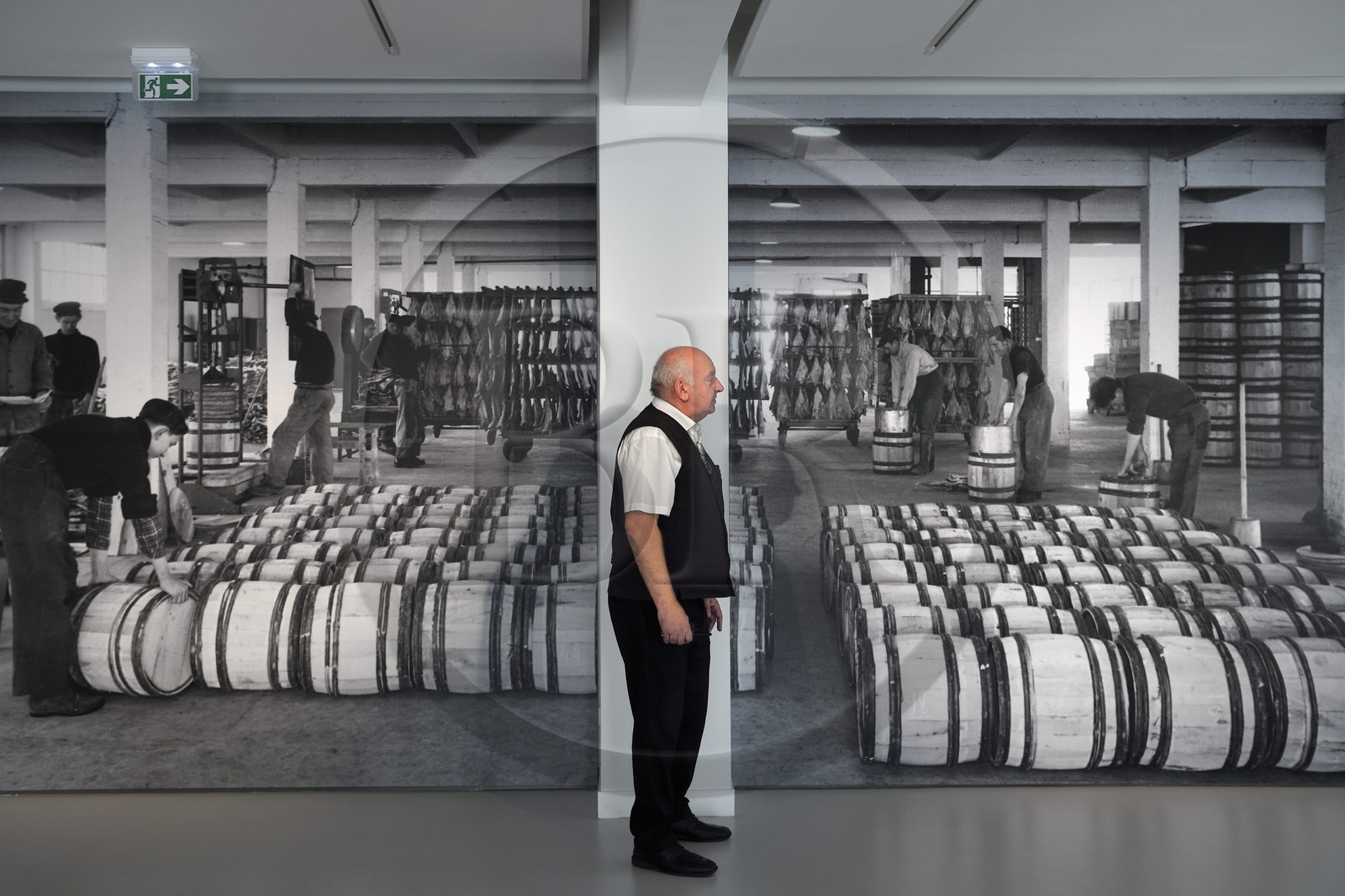 France, Seine-Maritime (76), Pays de Caux, Côte d'Albâtre, Les Pêcheries - Musée de Fécamp dans une ancienne sécherie de morue appartenant autrefois à l'armement morutier Les Pêcheries de Fécamp, reproduction in situ d'une photo en N&B des anciens ouvriers au travail