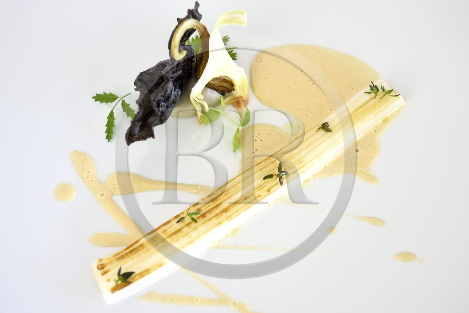 France, Alpes-Maritimes (06), Menton, Restaurant Le Mirazur du Chef doublement étoilé Michelin Mauro Colagreco, Calamar de Bordighera, chips de riz à l'encre de seiche