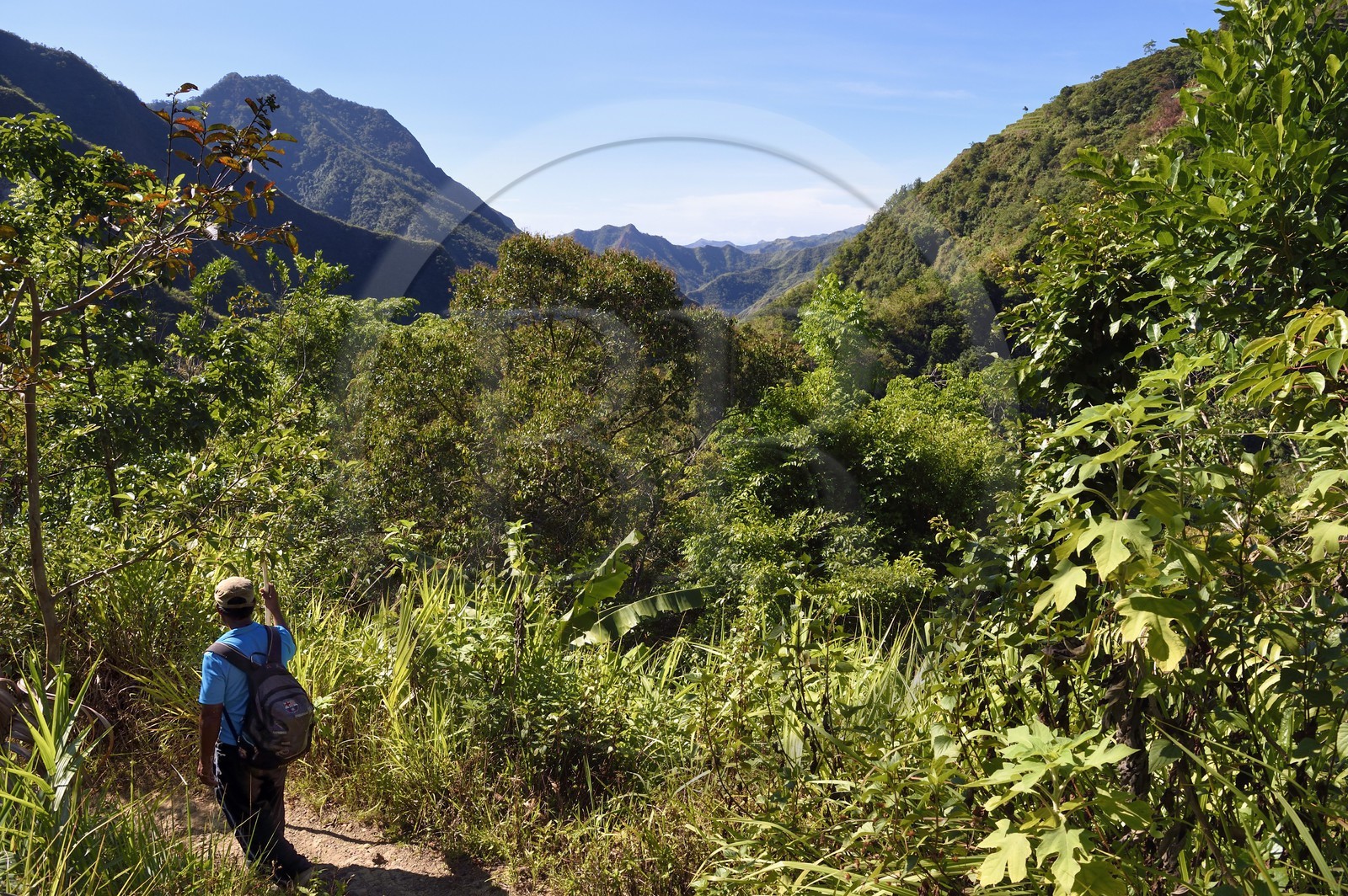 Philippines, Ifugao province, trail connecting the villages of Cambulo and Batad in Banaue mountains