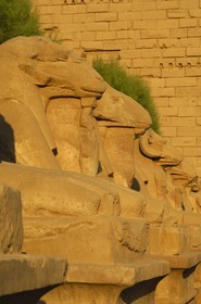 Egypt, Upper Egypt, Nile Valley, Luxor, Karnak Temple listed as World Heritage by UNESCO, avenue of the sphinx