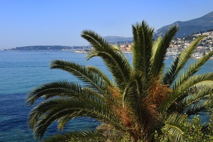 France, Alpes-Maritimes (06), Menton depuis le jardin de Maria Serena dans le quartier de Garavan