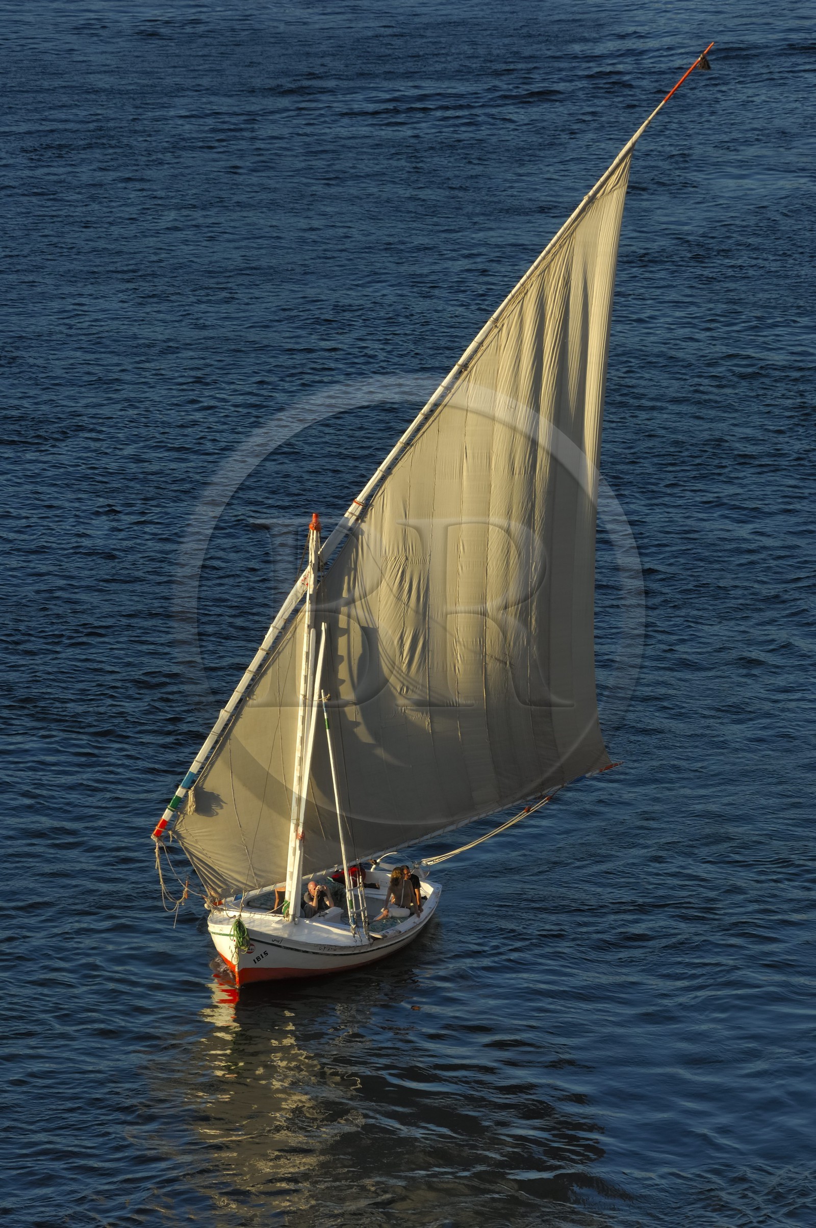 Egypte, Haute Egypte, vallée du Nil, Assouan, felouque sur le Nil