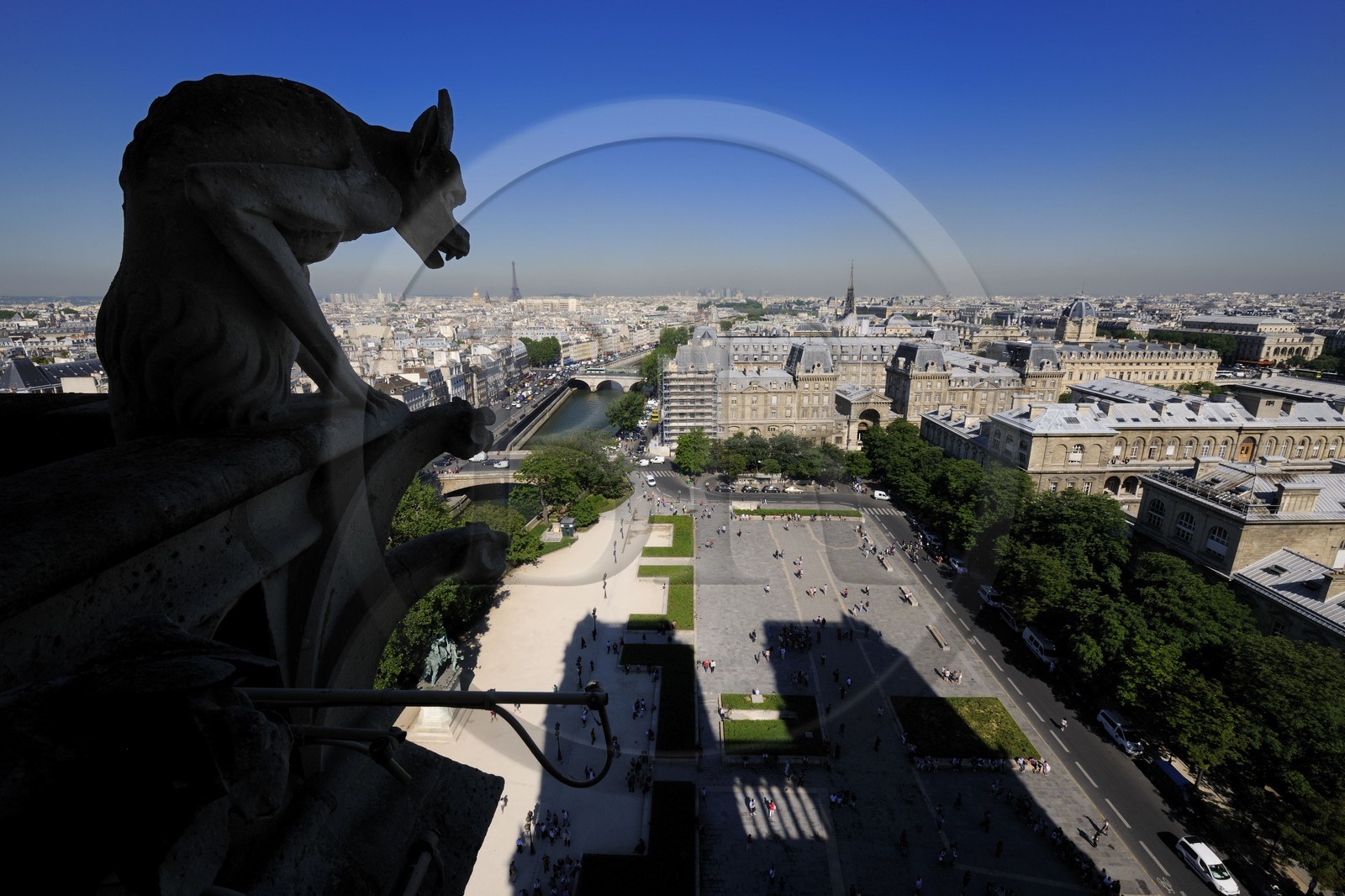 France, Paris (75), île de la Cité, la cathédrale Notre-Dame, les chimères observent la ville