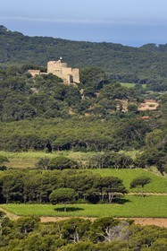 France, Var, Iles d'Hyeres, Parc National de Port Cros (National park of Port Cros), Porquerolles island, the Courtade plain vineyards overlooked by the Fort Sainte Agathe