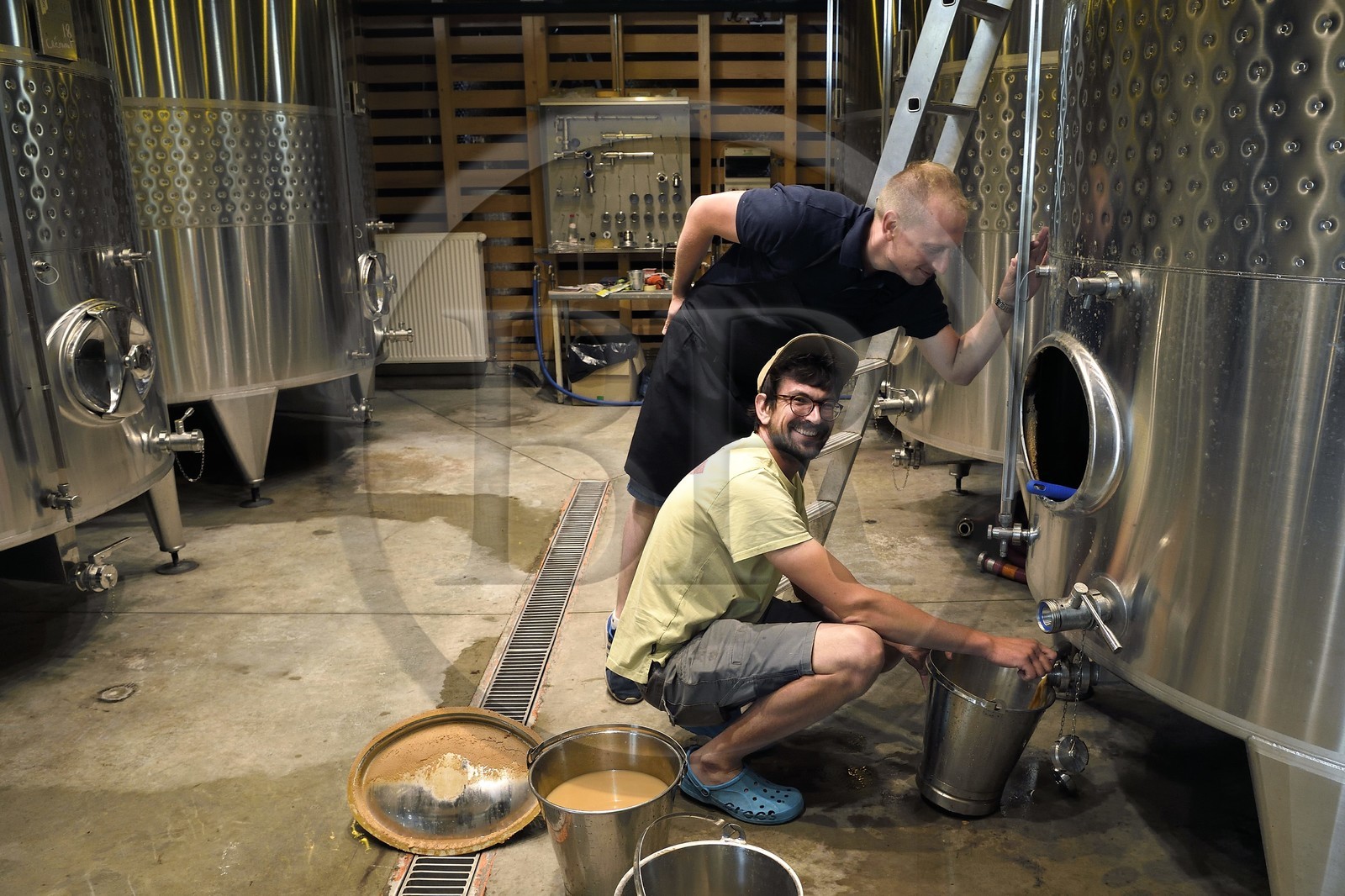 France, Bas-Rhin (67), Route des vins d'Alsace, Scherwiller, domaine viticole Achillée en biodynamie dans un batiment de construction entièrement naturelle, Jean Dietrich fait un débourbage de ses cuves