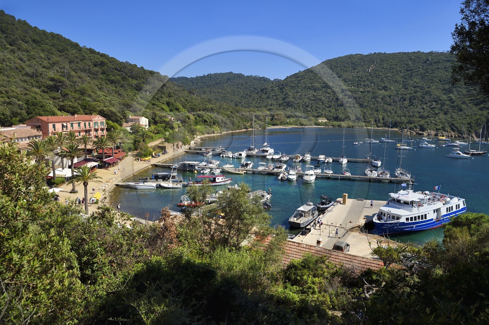 France, Var (83), Iles d'Hyères, parc national de Port Cros, Ile de Port-Cros, le port et village dans la rade
