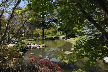 France, Hauts-de-Seine (92), Boulogne-Billancourt, le jardin japonais du musée départemental Albert-Kahn