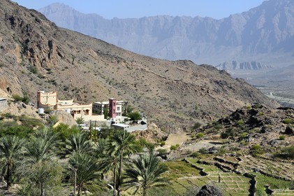 Sultanat d'Oman, Gouvernorat d'Al-Batina du Sud, Hajar occidental, Wadi Mistall, village de Hijar
