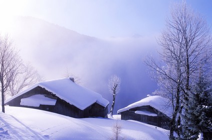 France, Haute Savoie, Portes du Soleil (winter) Morzine village
