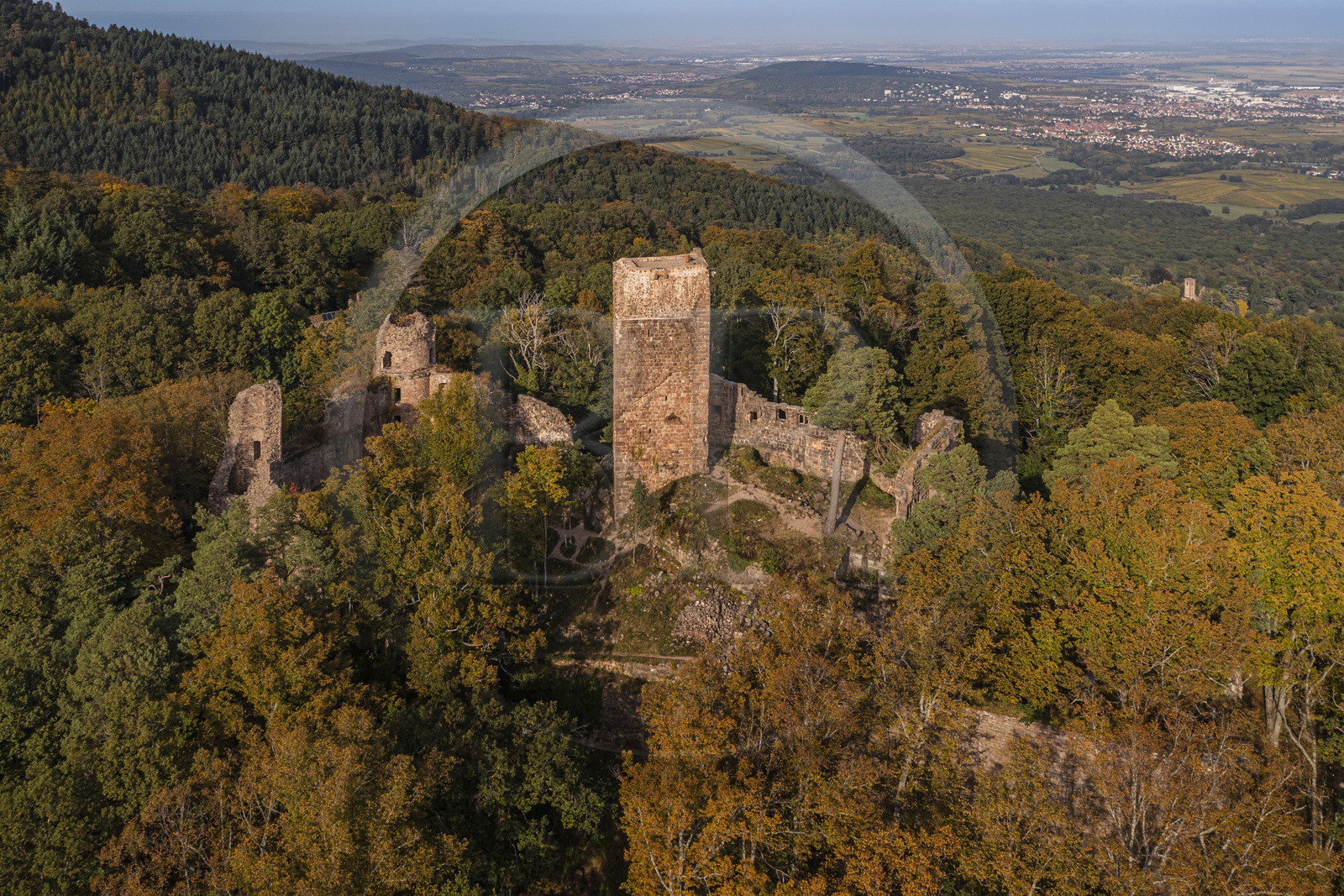 France, Bas-Rhin (67), Heiligenstein, chateau du Landsberg du XIIIème siècle et la plaine d'Alsace en arrière plan (vue aérienne)