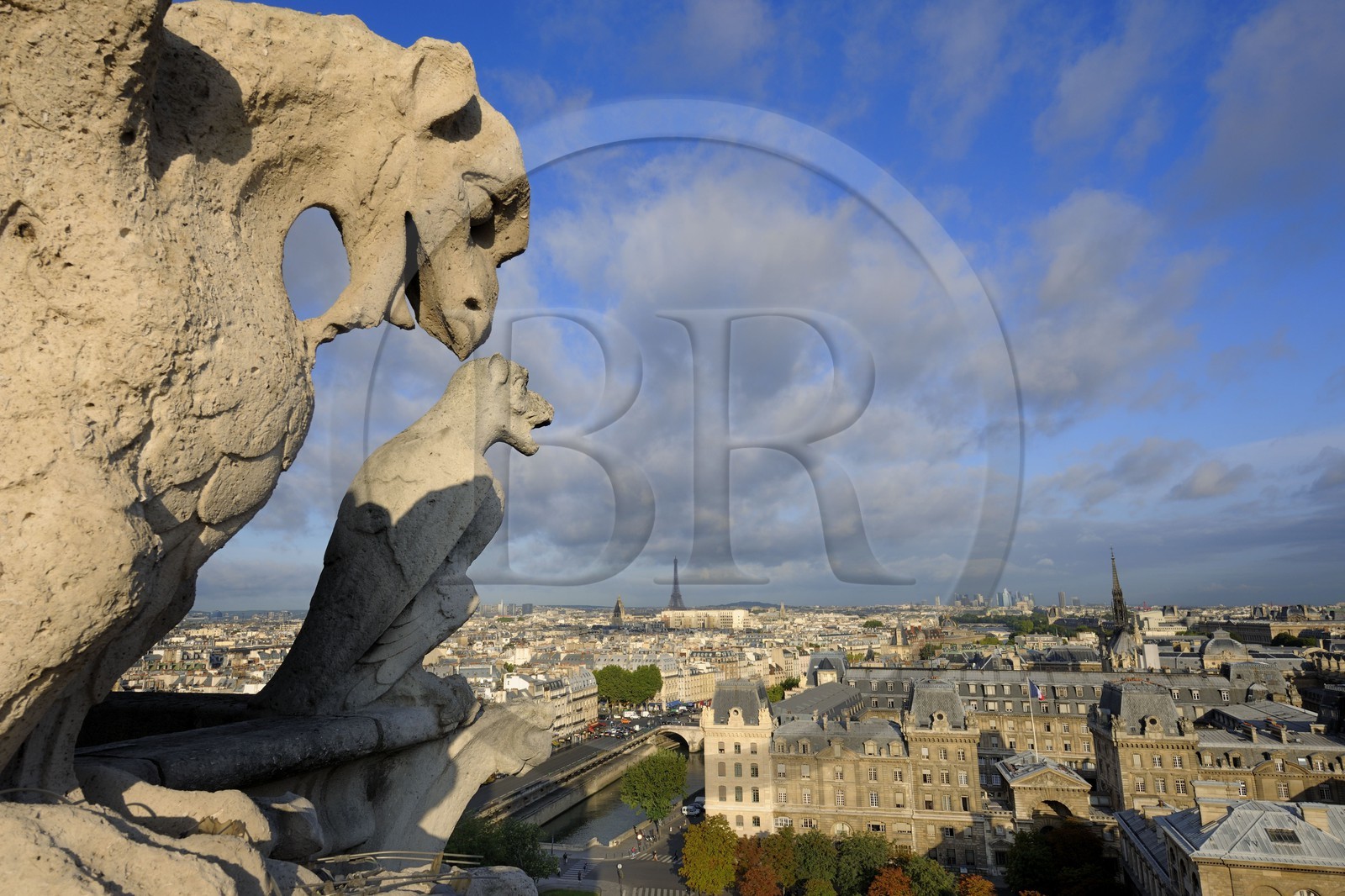 France, Paris (75), île de la Cité, la cathédrale Notre-Dame, les chimères observent la ville