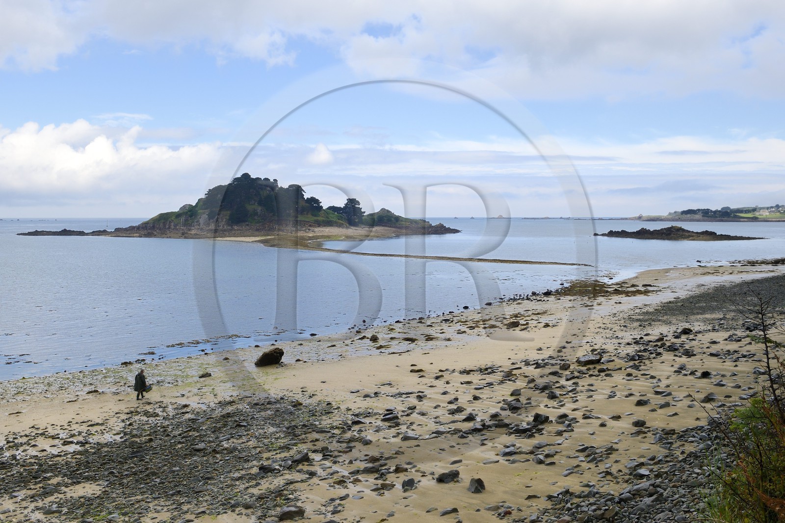 France, Finistère (29), Baie de Morlaix, Terenez, Ile Sterec