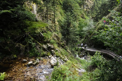 Germany, Black Forest, Schwarzwald, Baden-Württemberg, waterfalls of Allerheiligen convent (All Saints)