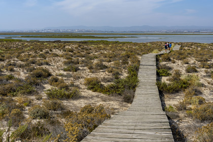 Portugal, Algarve, Ria Formosa Natural Park, Faro, wooden plank path on Island of Barreta or Deserta (Ilha da Barretta or Deserta)