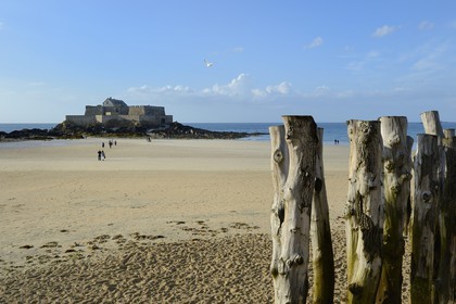 France, Ille-et-Vilaine (35), côte d'émeraude, Saint-Malo, pieux de chêne de la plage pour protéger les remparts de l'assaut des vagues, Fort national construit par Vauban et Garangeau au XVIIème siecle