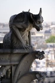 France, Paris (75), île de la Cité, la cathédrale Notre-Dame, les chimères observent la ville