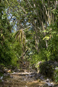 France, Guyane, Kourou, Iles du Salut, l'Ile Saint-Joseph, escalier d'accés au bagne