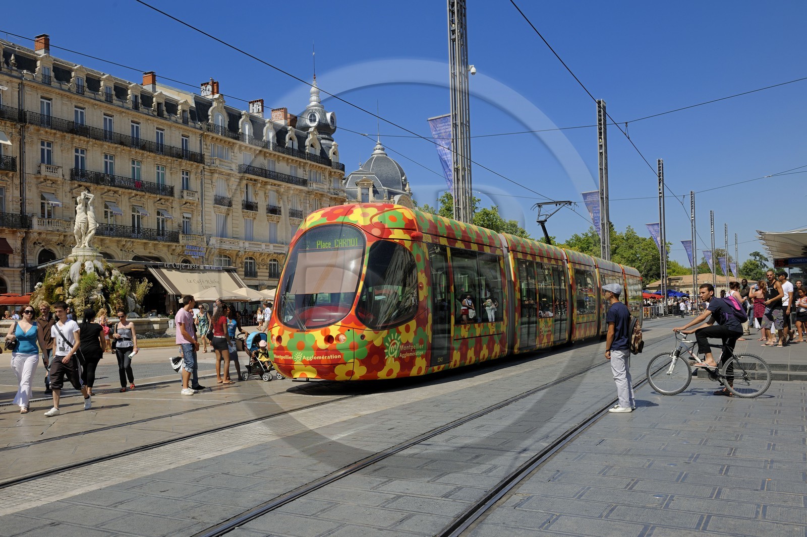 France, Hérault (34), Montpellier, centre historique, l'Ecusson, tramway place de la Comédie