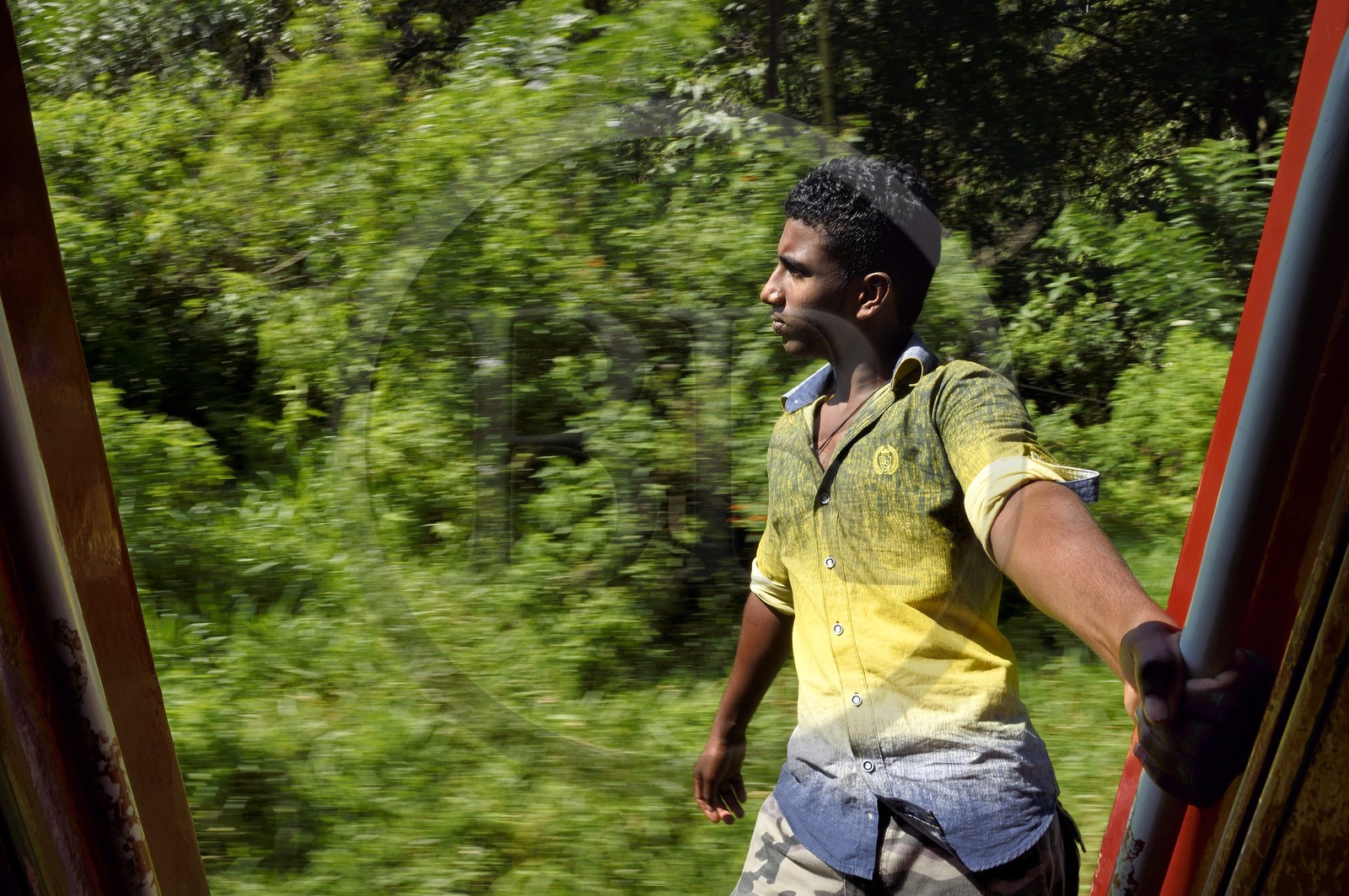 Sri Lanka, Province d'Uva, trajet en train dans la région montagneuse de la culture du thé entre Badulla et Ella, passager accroché aux portières