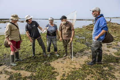 France, Charente-Maritime (17), Ile d'Oléron, Saint-Georges-d'Oléron, plage des Sables Vignier à marée basse, concessionnaires mareyants de l'écluse à poissons des Basses, Christian, Nathan, la cheffe Francine Fèvre, Jean Guy et Jean Baptiste, tous membres de la Concession Laure Brégaud