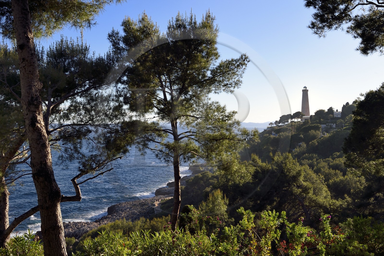 France, Alpes Maritimes (06), Saint-Jean-Cap-Ferrat, le phare du Cap-Ferrat depuis les jardins du Grand-Hotel du Cap-Ferrat, palace 5 étoiles du groupe Four Seasons Hotel