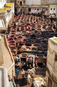 Maroc, Moyen Atlas, Fès, ville impériale, médina classée Patrimoine Mondial de l'UNESCO, Fès el Bali, quartier des tanneurs, Chouara