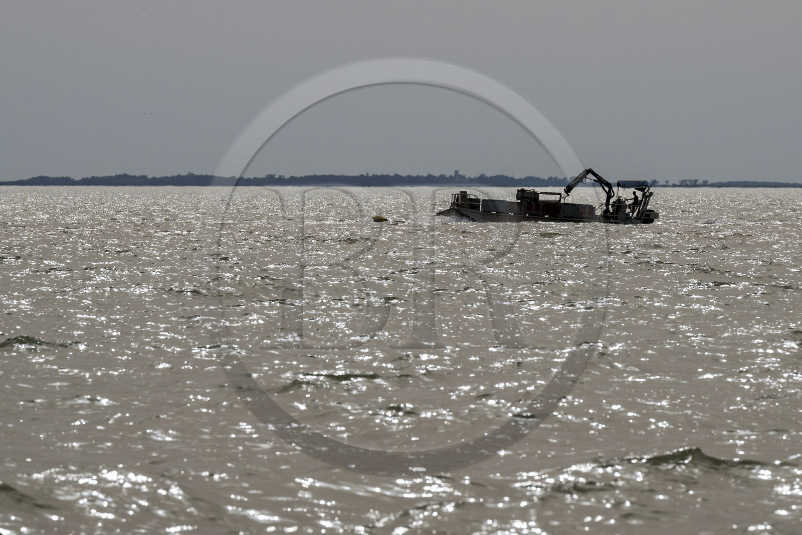 France, Charente Maritime, Oleron island, Dolus d’Oléron, flat-bottomed oyster boat in the Pertuis d'Antioche