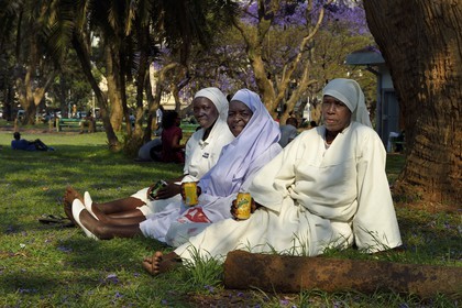 Zimbabwe, Harare, African Unity Square (formerly Cecil Square), nuns sitting under a jacaranda