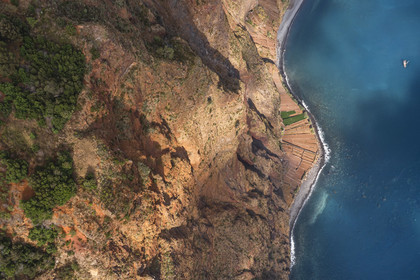 Portugal, Madeira Island, Camara de Lobos, Cap Girao cliff, the second highest in the world at 589 meters, cultivated fields at the foot of the cliff (aerial view)