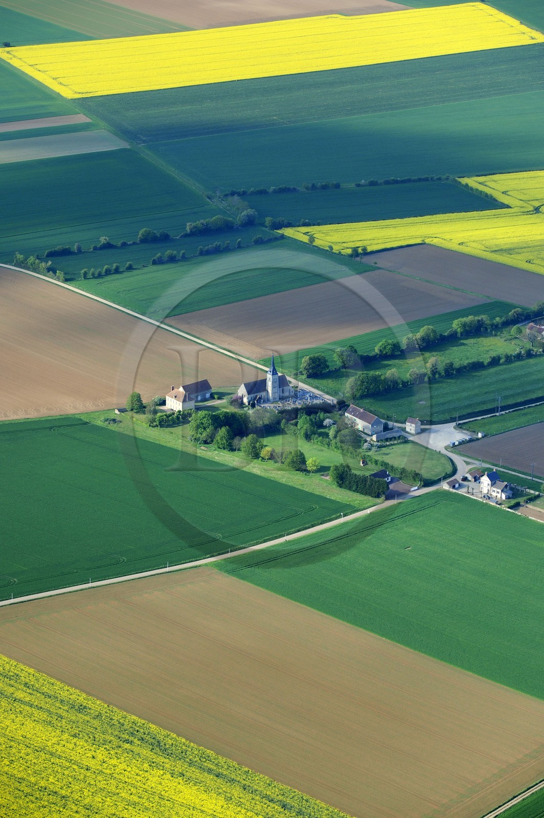 France, Eure (27), champ de colza en fleurs (vue aérienne)