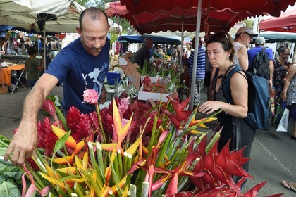 France, Reunion island (French overseas department), Saint-Pierre, the Saturday market, flower shop stall, heliconias and porcelain roses (Etlingera elatior)