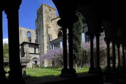France, Aude, Saint-Martin-le-Vieil, the former Cistercian abbey of Villelongue and guesthouse, the former abbey church from the cloister