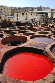 Morocco, Middle Atlas, Fez, Imperial City, Fez El Bali, medina listed as World Heritage by UNESCO, Chouara, tanners of the tannery district