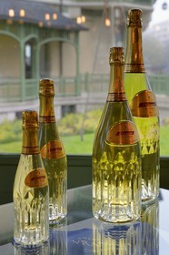 France, Marne, Reims, Vranken Diamond champagne