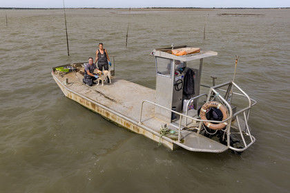 France, Charente Maritime, Oleron island, Dolus d’Oléron, the parks of the Marennes-Oléron basin in the Pertuis d'Antioche, Nadia Quillet and her husband Eric collect bags of crassostrea gigas in their oyster beds during the ebb tide (aerial view)