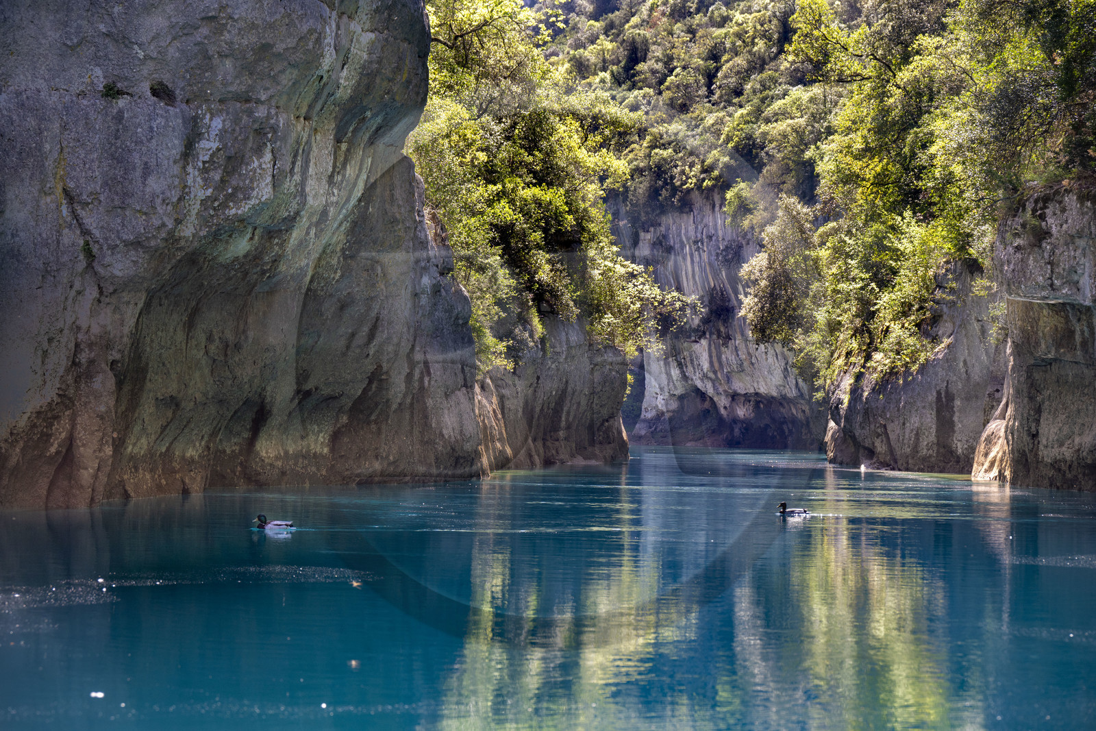 Var (83) rive gauche et Alpes-de-Haute-Provence (04) rive droite, Parc Naturel Régional du Verdon, Basses Gorges du Verdon en aval du lac de Sainte Croix, gorges de Baudinard