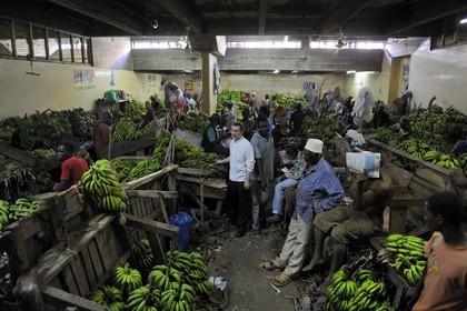Tanzania, Dar es-Salaam, the Kariakoo central market, Benoit Letellier the french chef of the Movenpick in the banana hall in the lower floor