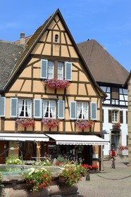 France, Haut Rhin, Eguisheim, labelled Les Plus Beaux Villages de France (The Most Beautiful Villages of France), Castle square
