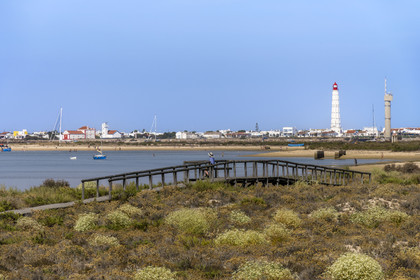 Portugal, Algarve, Ria Formosa Natural Park, Faro, wooden plank path on Island of Barreta or Deserta (Ilha da Barretta or Deserta), the lighthouse of Ilha do Farol part of  Ilha da Culatra in the background