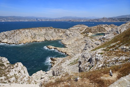 France, Bouches-du-Rhône (13), Marseille, Parc National des Calanques, Archipel des Iles du Frioul, Ile Ratonneau, calanque de l'Eoube, ruines de l'hopital Caroline