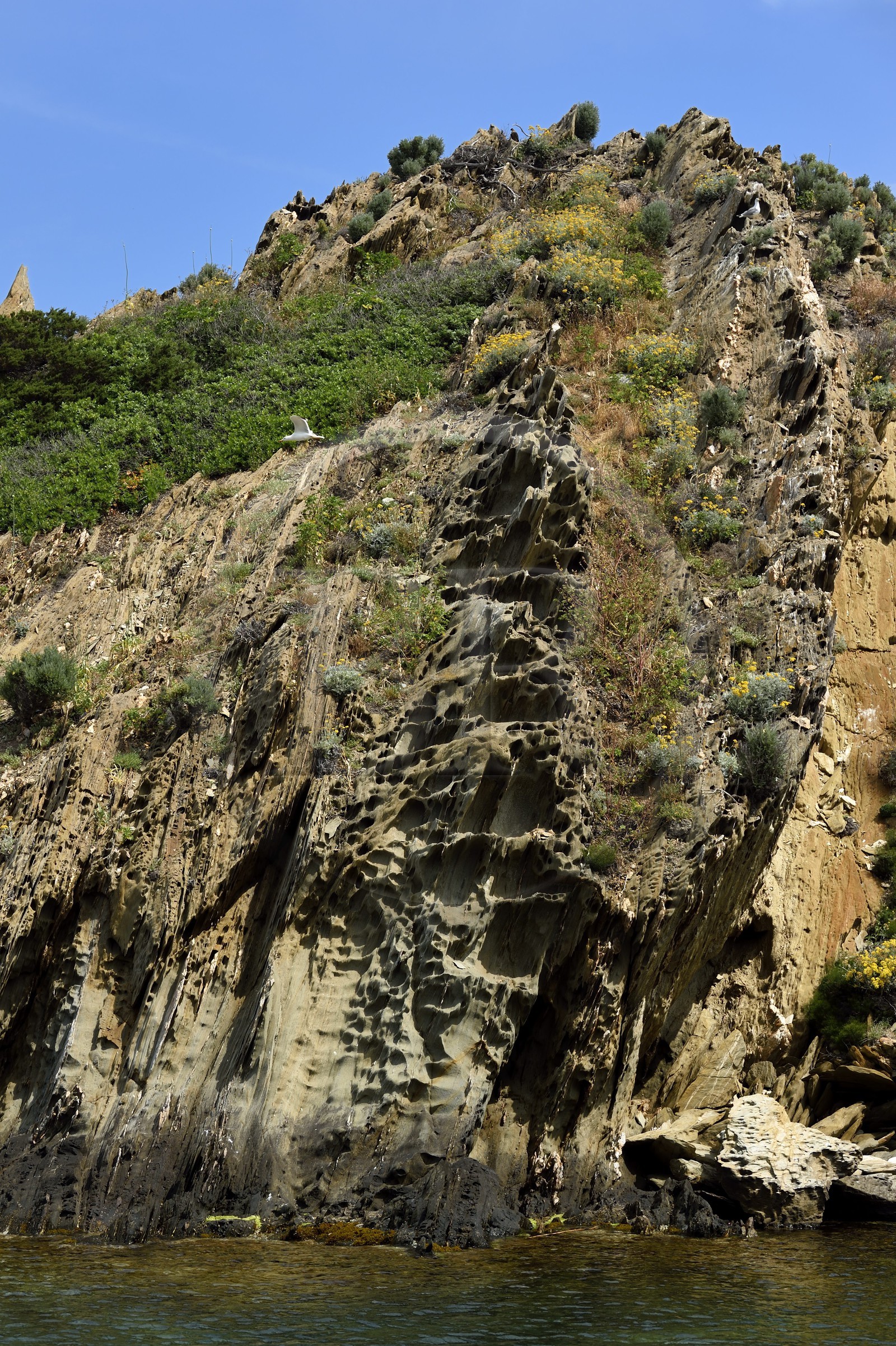 France, Var (83), Iles d'Hyères, Parc national de Port Cros, Ile de Port-Cros, plage de la Palud, le rocher du Rascas