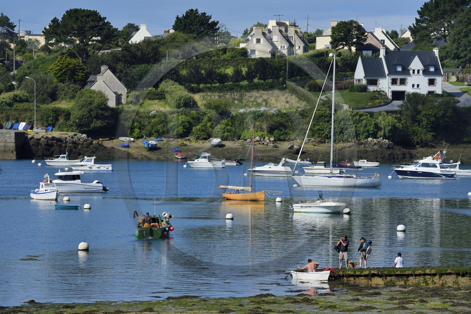 France, Finistère (29), Lannilis, Saint-Pabu face à Prat Ar Coum dans l'Aber Benoit