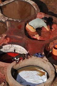 Morocco, Middle Atlas, Fez, Imperial City, Fez El Bali, medina listed as World Heritage by UNESCO, Chouara, tanners of the tannery district