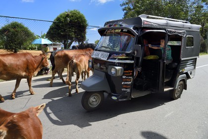 Sri Lanka, Province d'Uva, Diyathalawa, tricycle moto-taxi